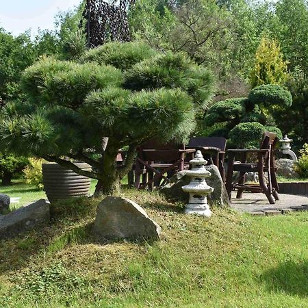 Villa Ogrod Shinrin Yoku Odpoczynek W Lesie Srokowo Exterior foto