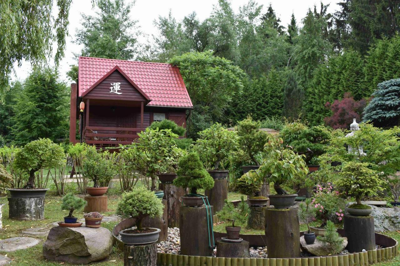 Villa Ogrod Shinrin Yoku Odpoczynek W Lesie Srokowo Exterior foto